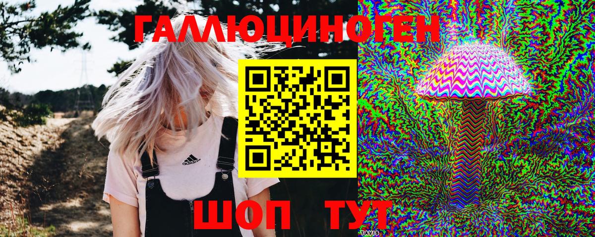 даркнет сайт  Псилоцибиновые грибы Magic Shrooms  Вход с VPN  Спасск-Дальний  Псилоцибиновые грибы ЛСД 